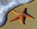 L’estate 2026 riscrive il beachwear: crinkle, lurex e total look coordinati