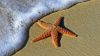 L’estate 2026 riscrive il beachwear: crinkle, lurex e total look coordinati