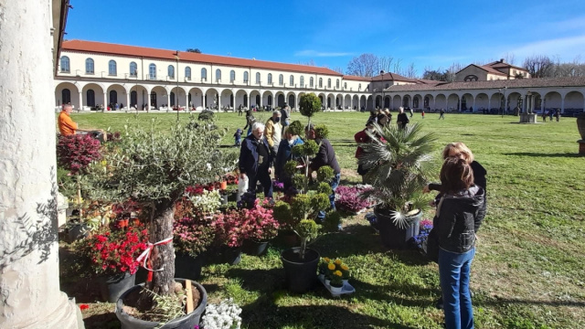 Collegno, la Certosa nuova casa del Torino Comics - Luna Nuova &copy; Creative Commons
