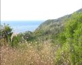 Carabinieri Forestali sequestrano cantiere abusivo nel Parco del Cilento