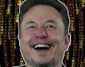 SpaceX e Tesla, la presidente Shotwell: 'Una fusione semplificherebbe la vita a Musk'