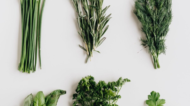 Tisana primavera, un rimedio antico e salutare. FotoPexels.com@