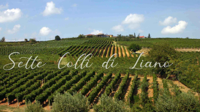 I Sette Colli di Ziano - La vocazione dell'areale piacentino che ... &copy; Creative Commons