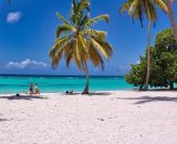 Spiaggia con palme (&copy;pixabay.com)