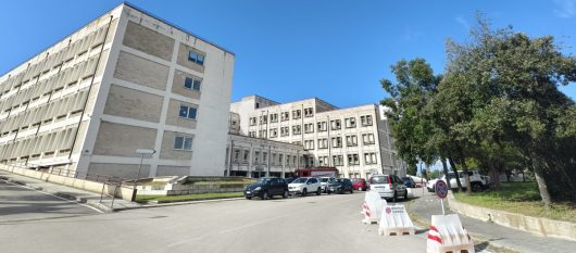 news-image