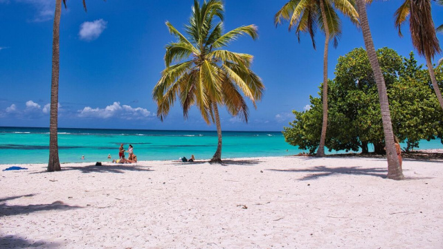 Spiaggia con palme (&copy;pixabay.com)