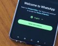 WhatsApp introduce le username: addio al numero di telefono per chattare