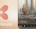 Google lancia Dreambeans: l'AI che anima la tua vita con storie personalizzate