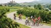 Emilia in bici: dai castelli ai sapori, un viaggio su due ruote