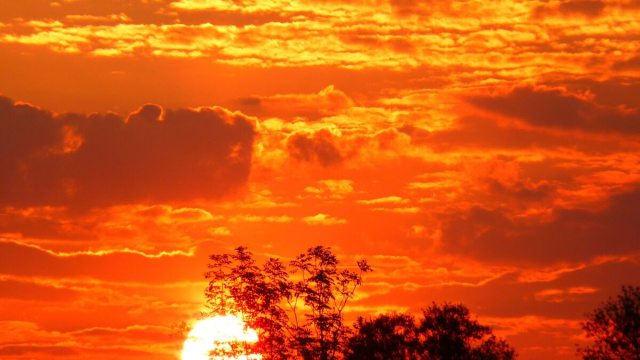 Foto di LoggaWiggler da Pixabay