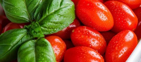 De Cecco si espande nel pomodoro: acquisita la pugliese Rossogargano