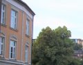 Germania: candidato neonazista al ballottaggio per il sindaco