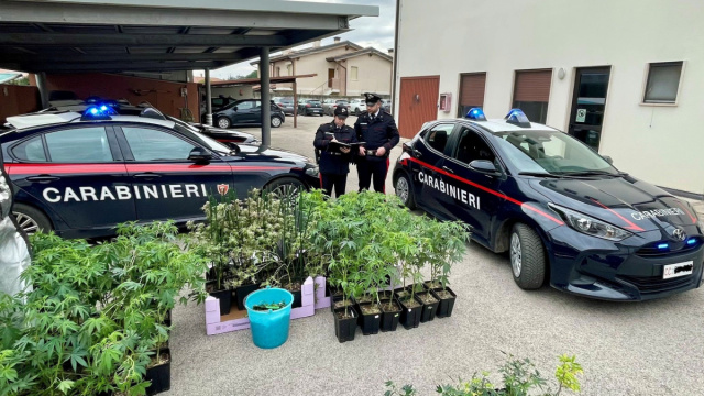 Maxi sequestro di droga a Quinto Vicentino: 33enne arrestato con ... &copy; Creative Commons
