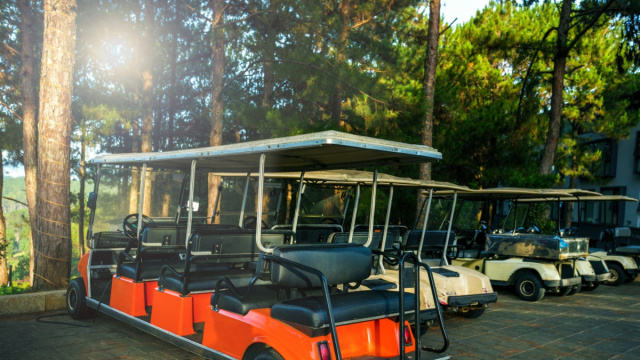Roma, nuove regole in arrivo per le golf car &copy; Creative Commons