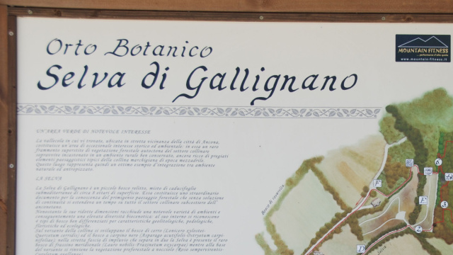 Portale alle piante spontanee della Selva di Gallignano (Ancona) &copy; Creative Commons
