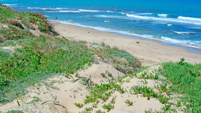 Platamona  SardegnaTurismo - Sito ufficiale del turismo della ... &copy; Creative Commons