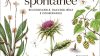 Mappatura flora: 453 nuove specie vegetali individuate in Italia in due decenni