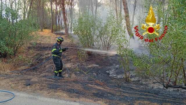 Aglientu, vasto incendio nella pineta: impegnate squadre di terra ... &copy; Creative Commons