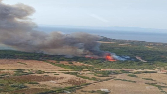 Incendio ad Aglientu, le fiamme avanzano dalla pineta verso la ... &copy; Creative Commons
