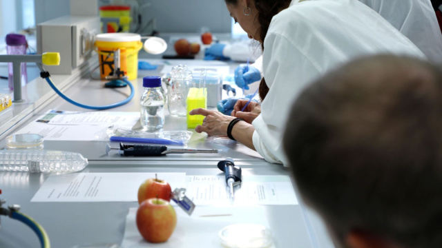 Universit&agrave; degli Studi di Udine - Sistema Scientifico e dell ... &copy; Creative Commons