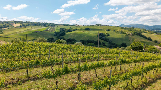 Vendita Terreno agricolo Montemaggiore al Metauro ... &copy; Creative Commons