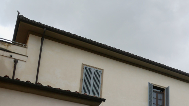 Villa Torrigiani (Sesto Fiorentino) - Wikipedia &copy; Creative Commons