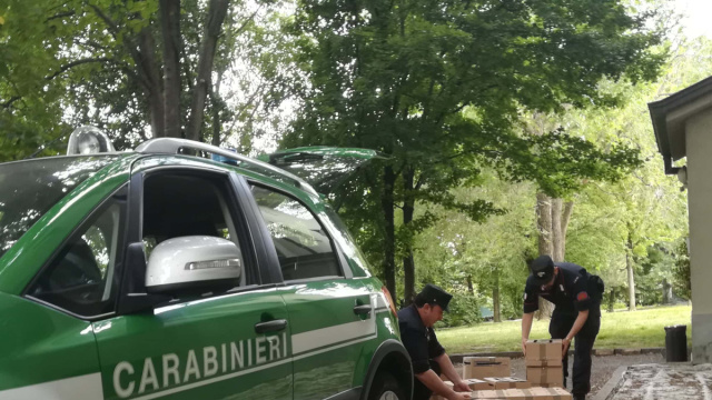 Nuova operazione antibracconaggio dei Carabinieri Forestali ... &copy; Creative Commons