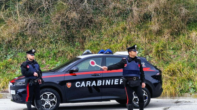 Senigallia, spaccio nei giardini della Rocca Roveresca: arrestato ... &copy; Creative Commons