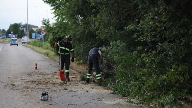 Torna l'incubo maltempo. Grandine e allagamenti. Decine di alberi ... &copy; Creative Commons
