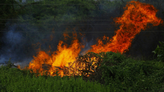 Incendi boschivi &copy; Creative Commons