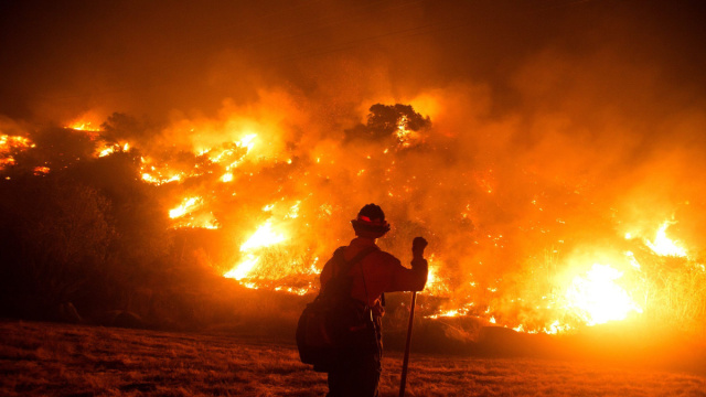 Mentre la Sardegna &egrave; in fiamme anche per la crisi climatica, il ... &copy; Creative Commons