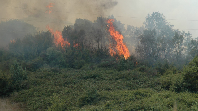 Nord Sardegna: domati tre incendi dal Corpo Forestale &copy; Creative Commons