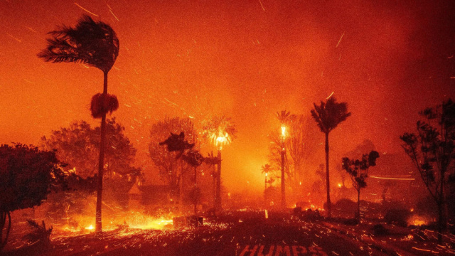 Incendi a Los Angeles, almeno 24 morti. Oltre 150mila senza casa ... &copy; Creative Commons