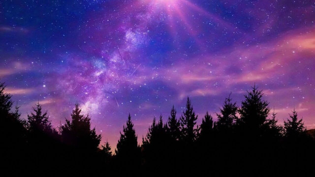 Bosco buio sotto un cielo di stelle colorato - pixabay.com
