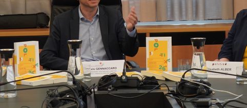 Svp in fermento: il seggio senatoriale 'italiano' spacca il partito