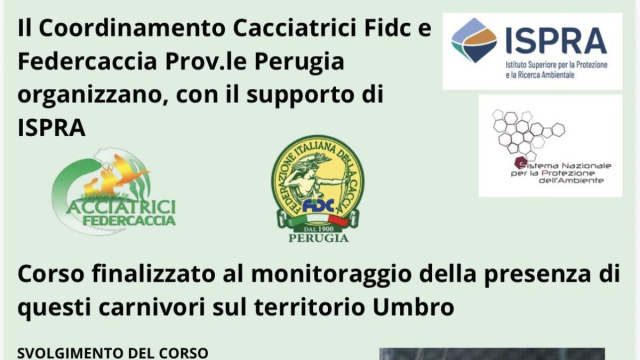 COORDINAMENTO CACCIATRICI E FIDC PERUGIA. CORSO DI APPROFONDIMENTO ... &copy; Creative Commons