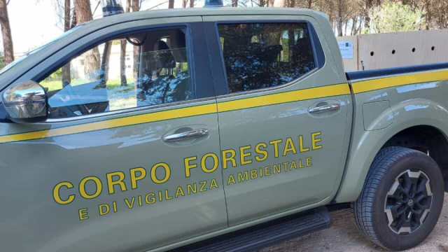 Corpo forestale, sciopero il 21 luglio. Masala (Safor): &laquo;Serve una ... &copy; Creative Commons