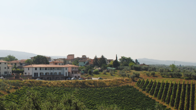 Chianti fiorentino - Wikipedia &copy; Creative Commons