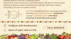 Doues: una giornata di prevenzione e educazione alimentare sul cibo