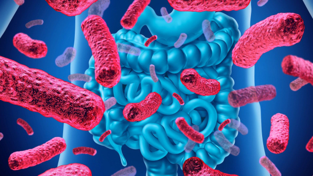 Microbiota, l'importanza di voler bene alla propria flora ... &copy; Creative Commons