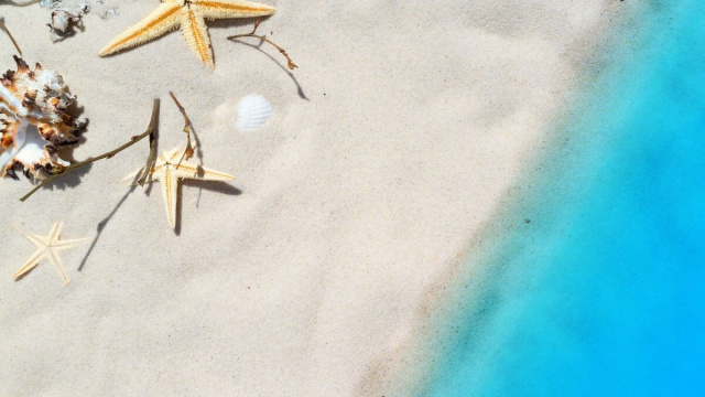 Spiaggia con conchiglie e stelle marine (&copy;pixabay.com)