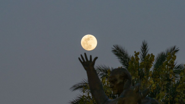 Luna piena in cielo e palme- &copy;Pexels
