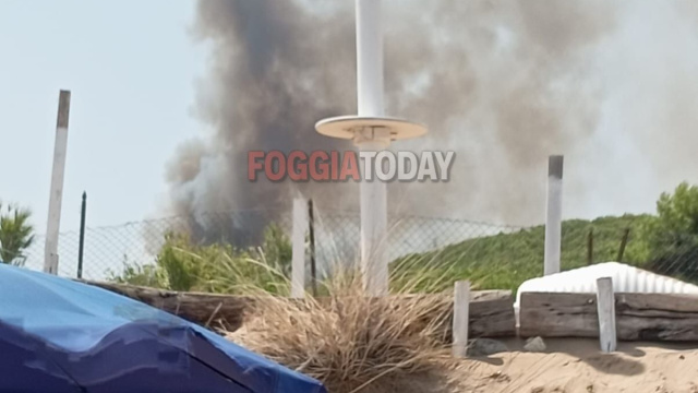 Peschici, vasto incendio minaccia la Baia di Manaccora &copy; Creative Commons