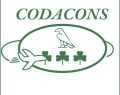 Codacons: 'Follia' aumentare sigarette per accise carburanti