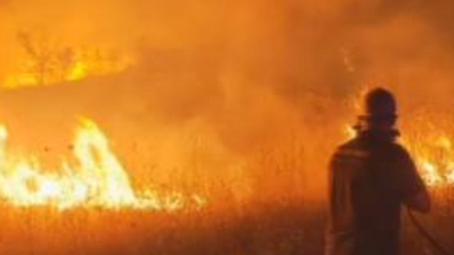 Incendio in Contrada Arcore a Campomarino, fiamme vicine alle case &copy; Creative Commons