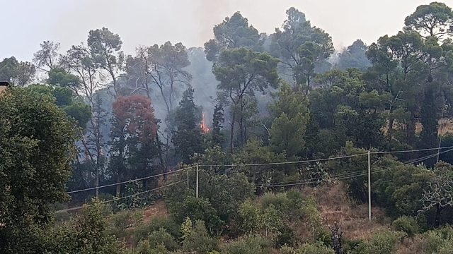 San Gregorio, spento il devastante incendio a ridosso della 125 ... &copy; Creative Commons