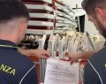 Chiuso lido in Calabria: sette lavoratori in nero scoperti dalla Finanza