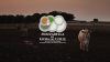Gioia Festival celebra la Mozzarella DOP con tre giorni di eventi