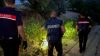 Reggino, carabinieri scoprono maxi piantagione di canapa con 1200 arbusti