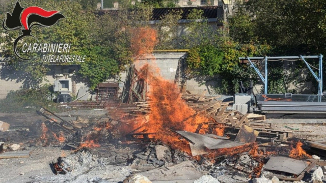 Arrone: operai bruciano bancali in legno. Denunciato titolare ... &copy; Creative Commons